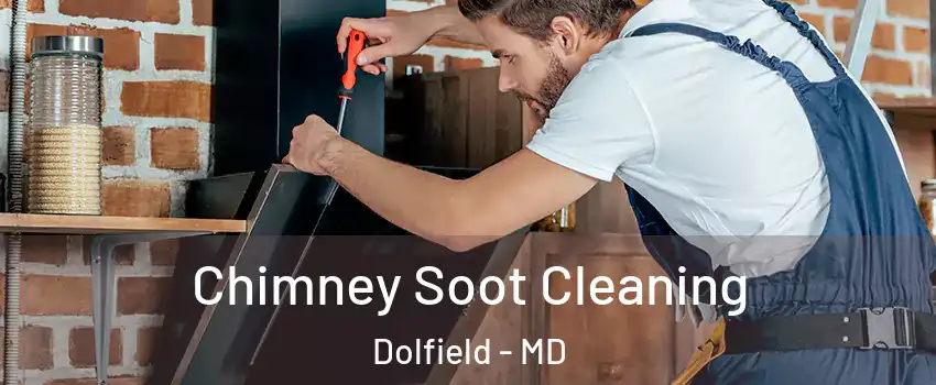 Chimney Soot Cleaning Dolfield - MD
