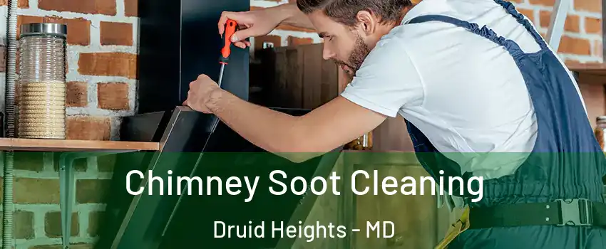 Chimney Soot Cleaning Druid Heights - MD