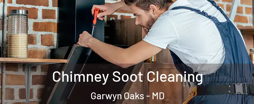 Chimney Soot Cleaning Garwyn Oaks - MD
