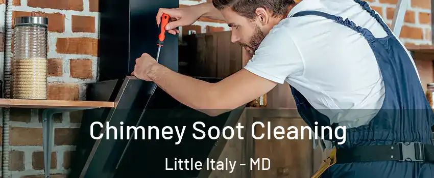 Chimney Soot Cleaning Little Italy - MD