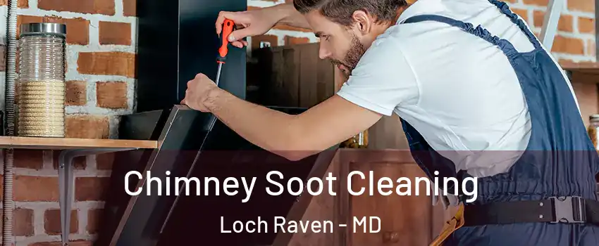 Chimney Soot Cleaning Loch Raven - MD