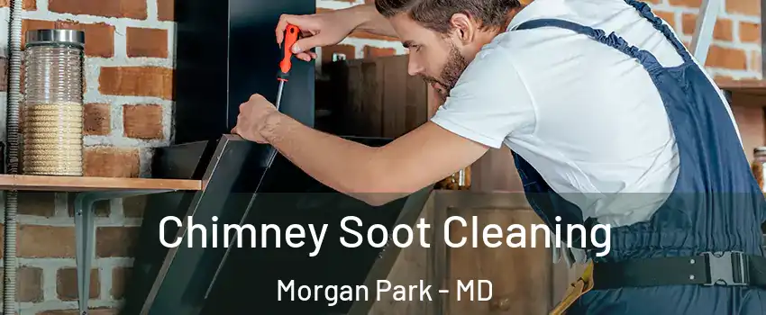 Chimney Soot Cleaning Morgan Park - MD
