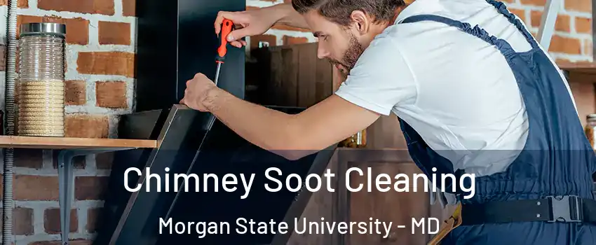 Chimney Soot Cleaning Morgan State University - MD