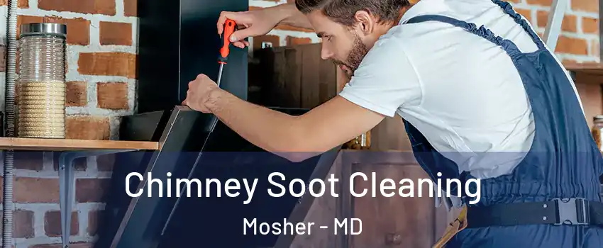Chimney Soot Cleaning Mosher - MD