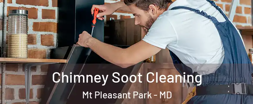 Chimney Soot Cleaning Mt Pleasant Park - MD