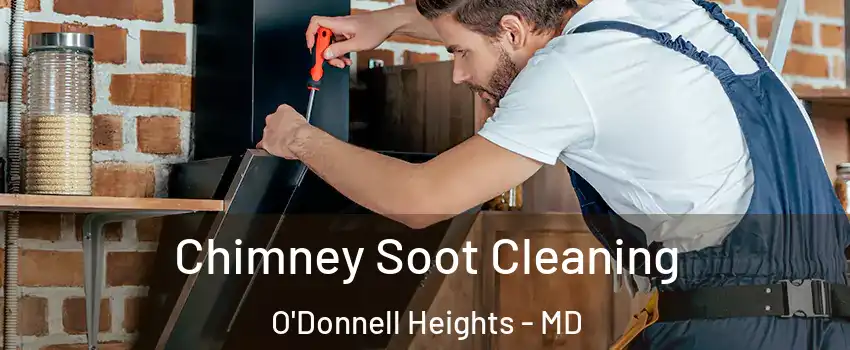Chimney Soot Cleaning O'Donnell Heights - MD