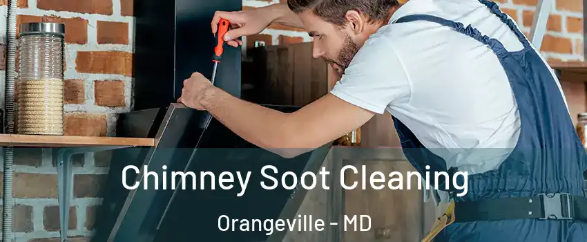 Chimney Soot Cleaning Orangeville - MD