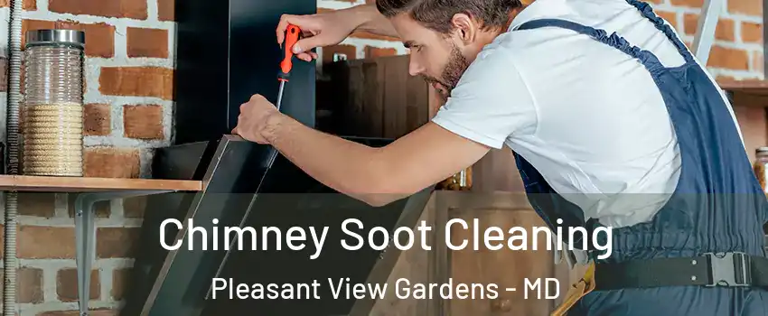 Chimney Soot Cleaning Pleasant View Gardens - MD