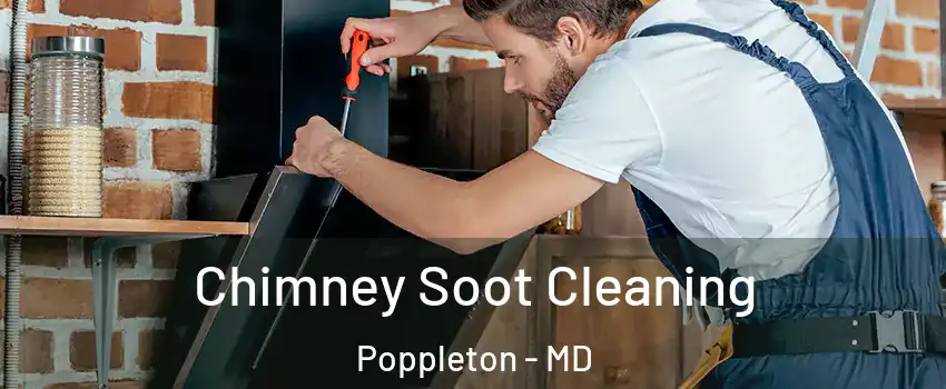 Chimney Soot Cleaning Poppleton - MD