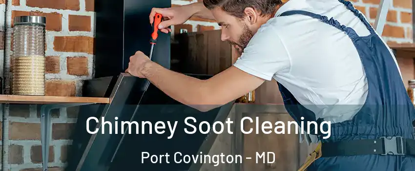Chimney Soot Cleaning Port Covington - MD