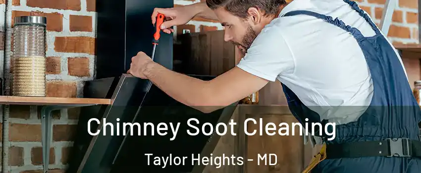 Chimney Soot Cleaning Taylor Heights - MD