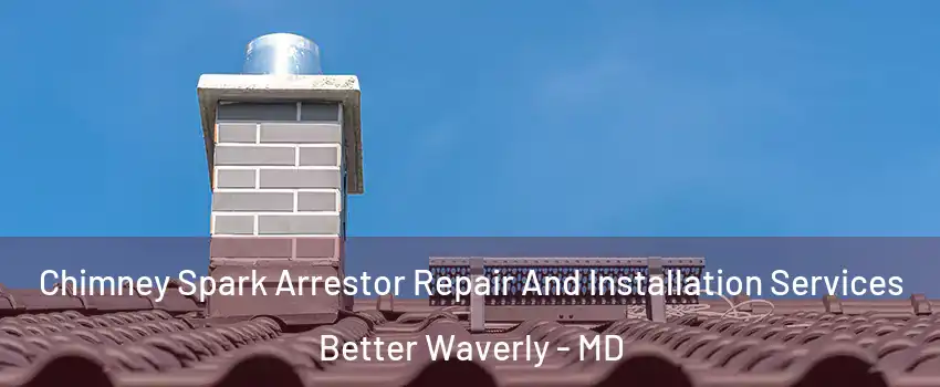 Chimney Spark Arrestor Repair And Installation Services Better Waverly - MD