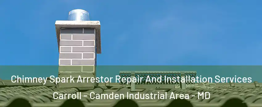 Chimney Spark Arrestor Repair And Installation Services Carroll - Camden Industrial Area - MD