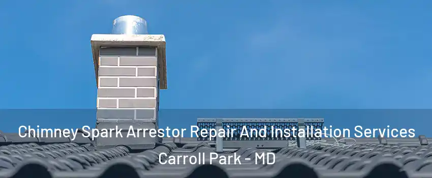 Chimney Spark Arrestor Repair And Installation Services Carroll Park - MD