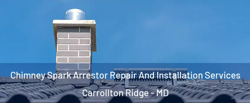 Chimney Spark Arrestor Repair And Installation Services Carrollton Ridge - MD