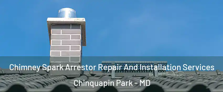 Chimney Spark Arrestor Repair And Installation Services Chinquapin Park - MD