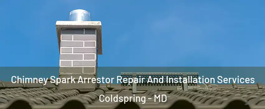 Chimney Spark Arrestor Repair And Installation Services Coldspring - MD