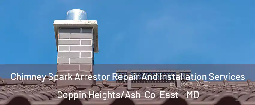 Chimney Spark Arrestor Repair And Installation Services Coppin Heights/Ash-Co-East - MD