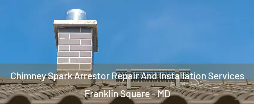 Chimney Spark Arrestor Repair And Installation Services Franklin Square - MD