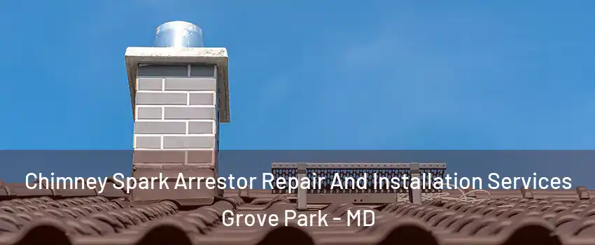 Chimney Spark Arrestor Repair And Installation Services Grove Park - MD