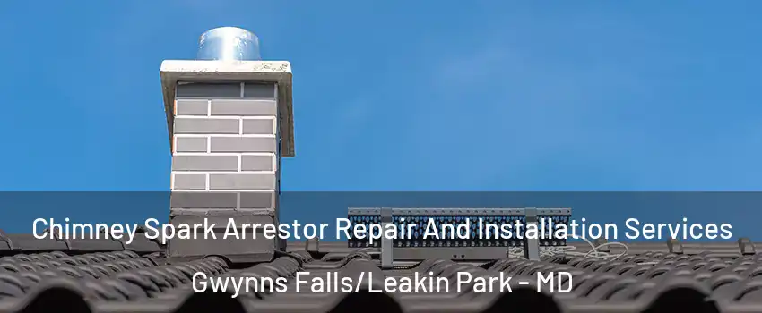 Chimney Spark Arrestor Repair And Installation Services Gwynns Falls/Leakin Park - MD
