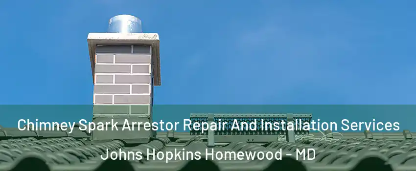 Chimney Spark Arrestor Repair And Installation Services Johns Hopkins Homewood - MD