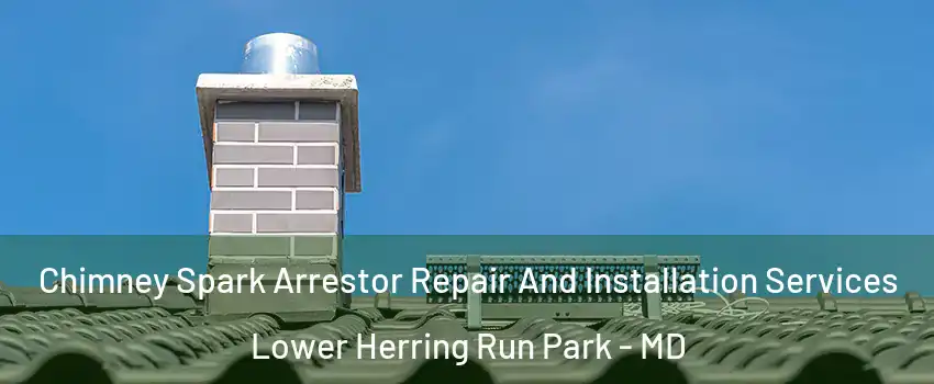 Chimney Spark Arrestor Repair And Installation Services Lower Herring Run Park - MD