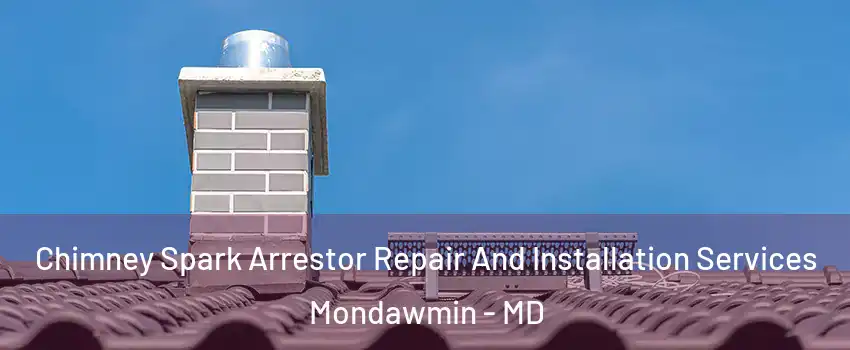 Chimney Spark Arrestor Repair And Installation Services Mondawmin - MD