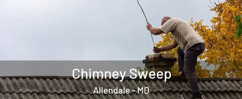 Chimney Sweep Allendale - MD