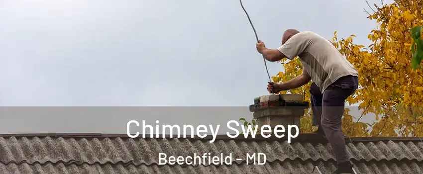 Chimney Sweep Beechfield - MD
