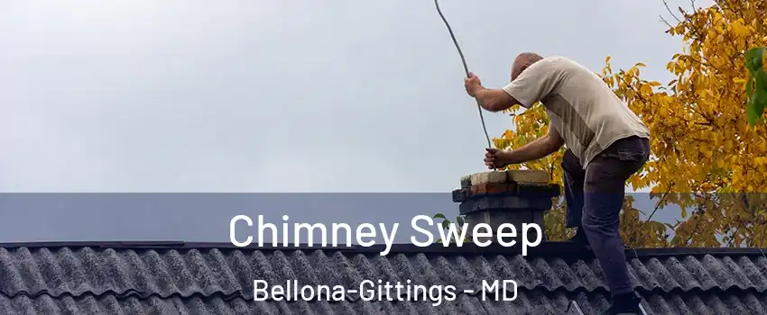 Chimney Sweep Bellona-Gittings - MD