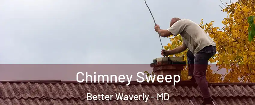 Chimney Sweep Better Waverly - MD