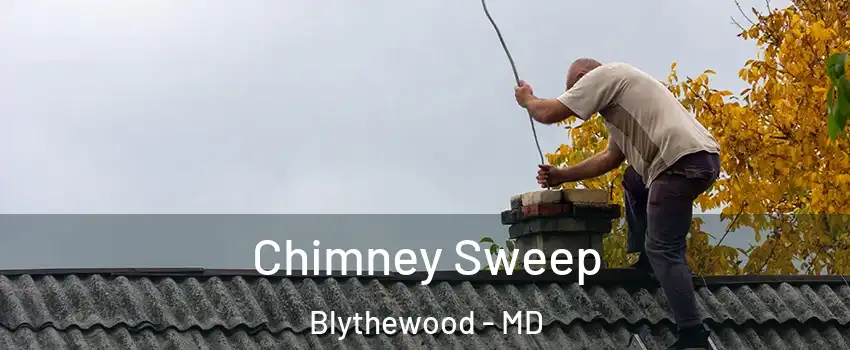 Chimney Sweep Blythewood - MD