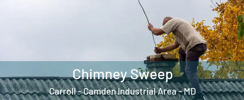 Chimney Sweep Carroll - Camden Industrial Area - MD