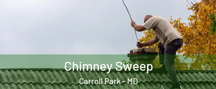 Chimney Sweep Carroll Park - MD