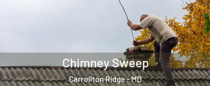 Chimney Sweep Carrollton Ridge - MD