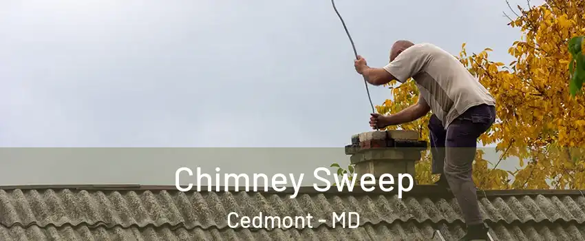 Chimney Sweep Cedmont - MD