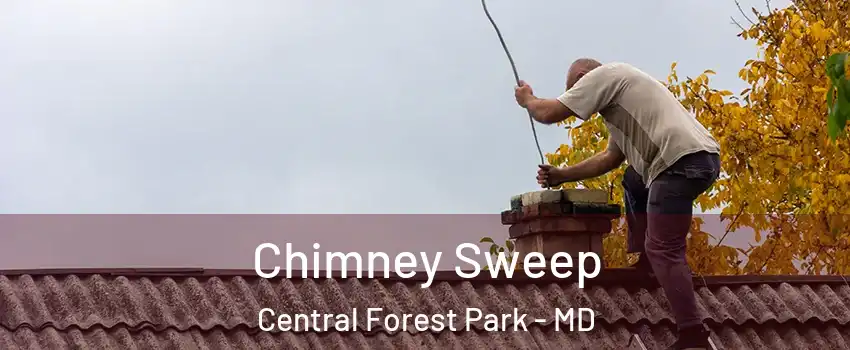Chimney Sweep Central Forest Park - MD