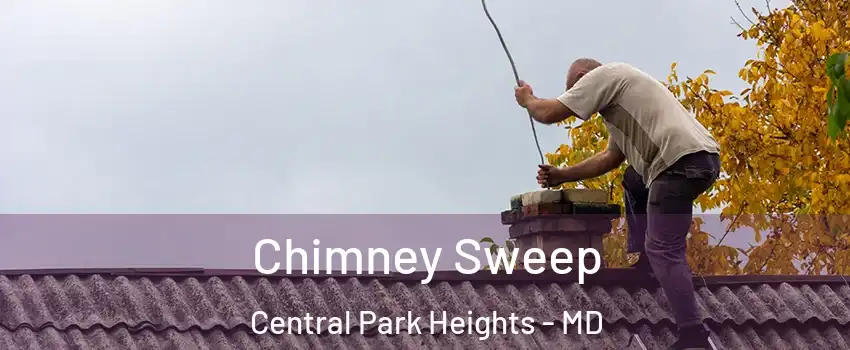 Chimney Sweep Central Park Heights - MD