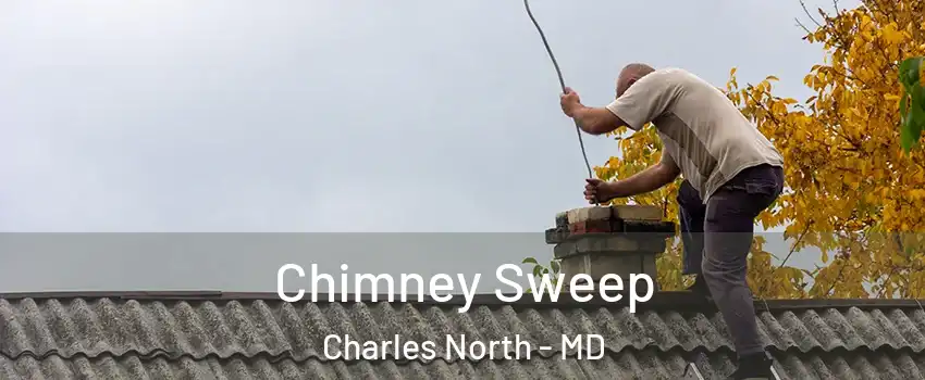 Chimney Sweep Charles North - MD