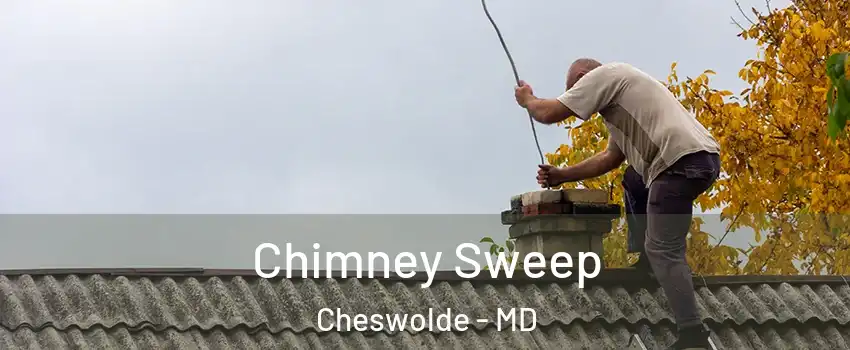 Chimney Sweep Cheswolde - MD