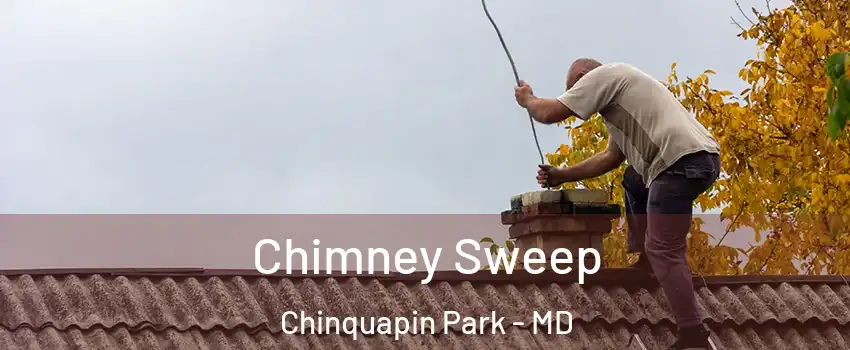 Chimney Sweep Chinquapin Park - MD
