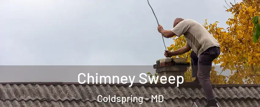 Chimney Sweep Coldspring - MD