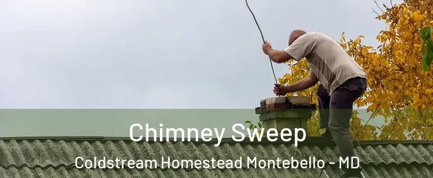 Chimney Sweep Coldstream Homestead Montebello - MD