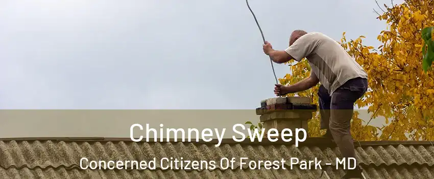 Chimney Sweep Concerned Citizens Of Forest Park - MD
