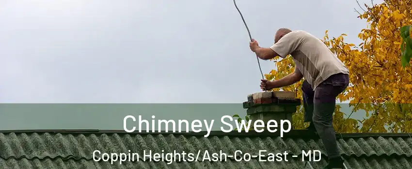 Chimney Sweep Coppin Heights/Ash-Co-East - MD