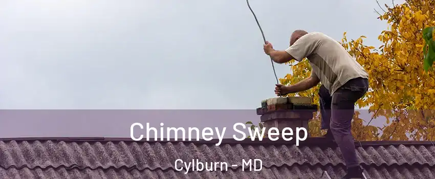 Chimney Sweep Cylburn - MD
