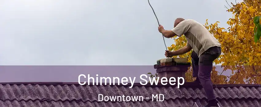 Chimney Sweep Downtown - MD