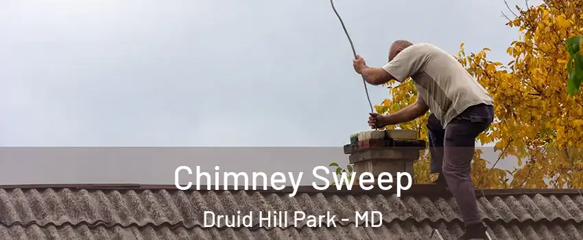 Chimney Sweep Druid Hill Park - MD