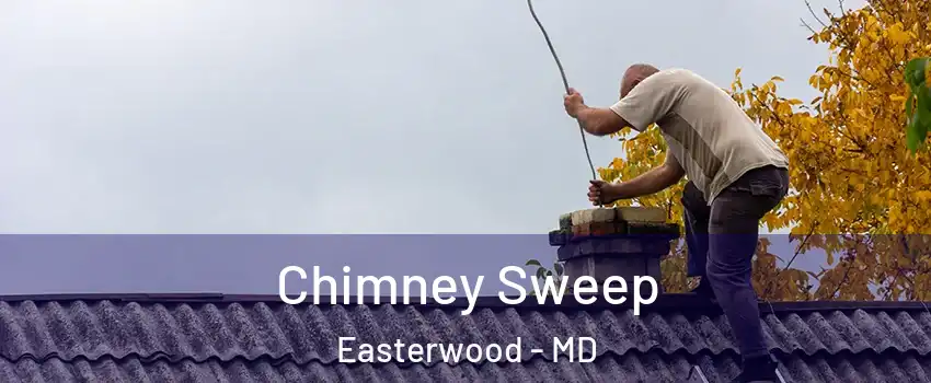 Chimney Sweep Easterwood - MD